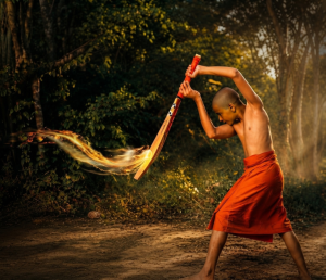 Cricket Sadu – ක්‍රිකට් සාදු